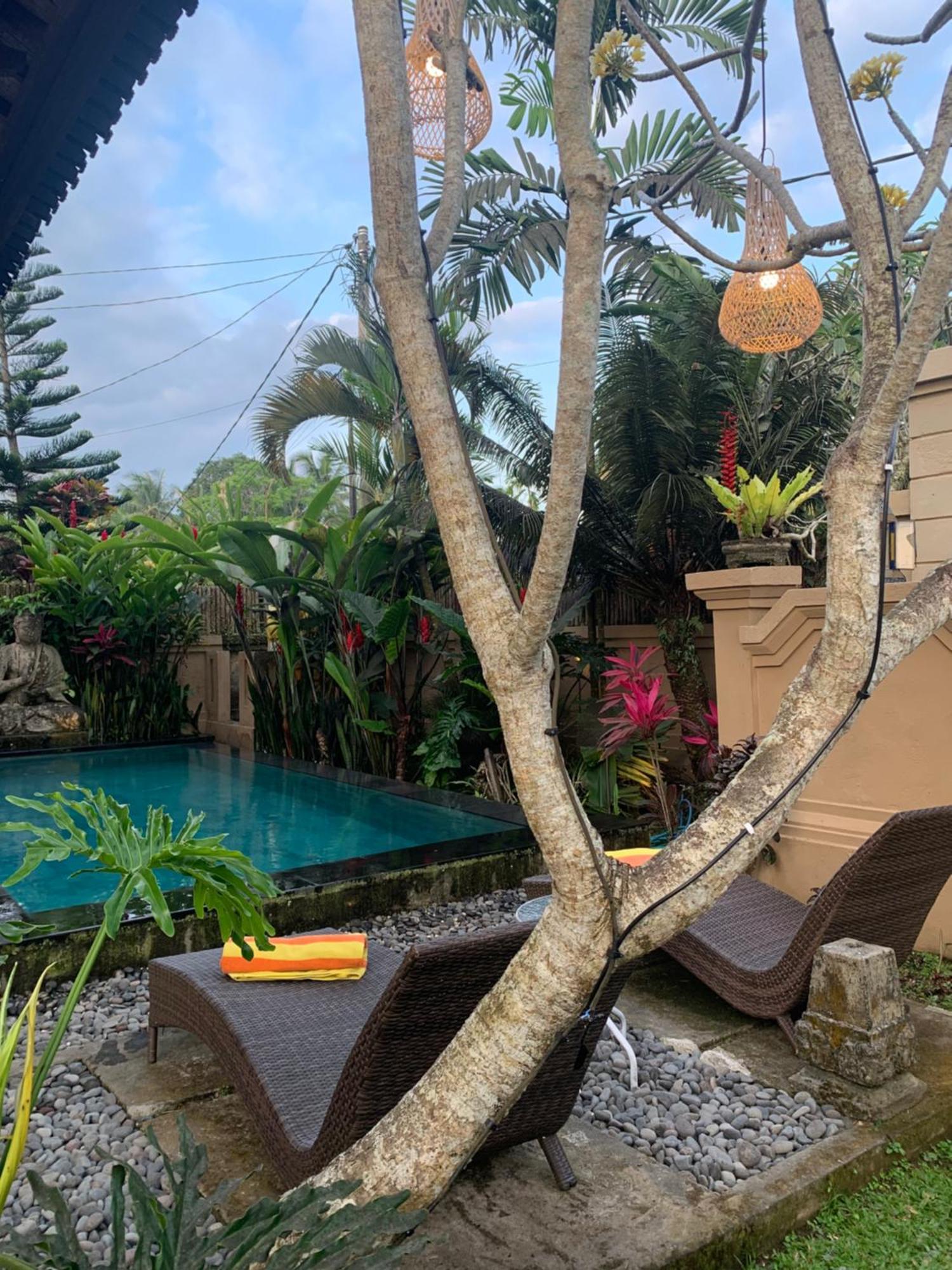 Villa Mangku In Ricefield Ubud  Ngoại thất bức ảnh